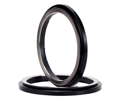 Mechanical Face Seals