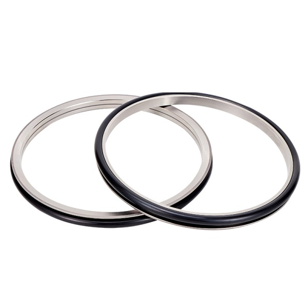 Mechanical Face Seals DO 12