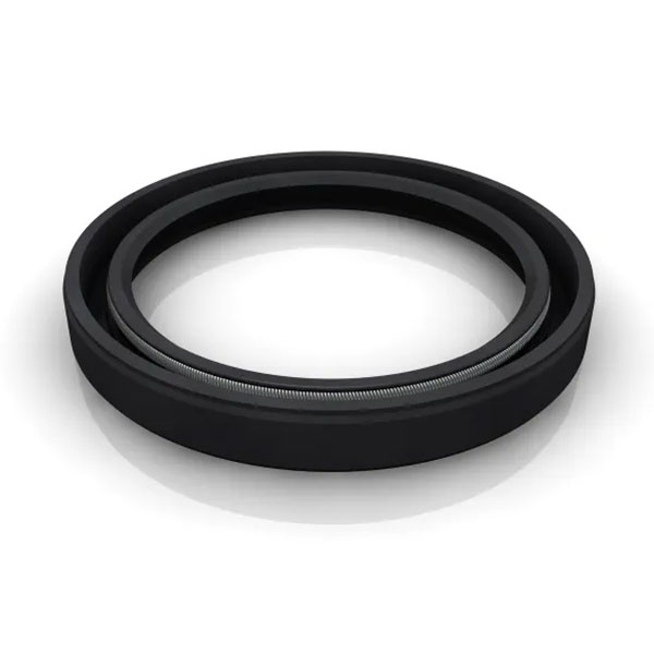 Oil Seals