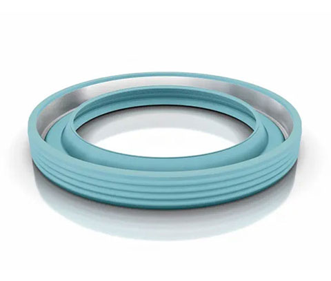 Oil Seals