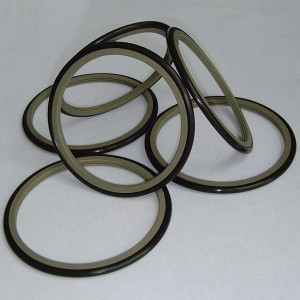 Low price for Factory Direct Selling Nak High Quality Skeleton Oil Seal Rotary Seal Ring Custom Fluororubber Nitrile Tc Skeleton Oil Seal