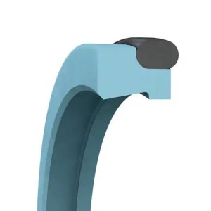 Online Exporter Rotary Seals, Spring Seals, PTFE/PTFE Seals/Seal